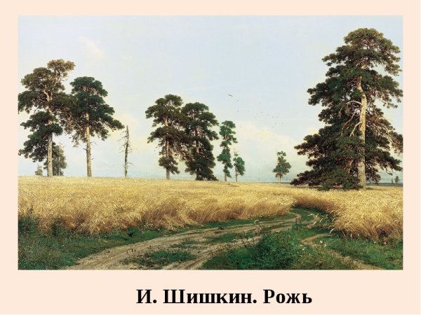 Шишкин Иван Иванович рожь