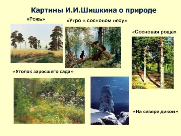 Картины Шишкина с названиями и описанием