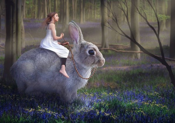 Картина девочка с кроликом