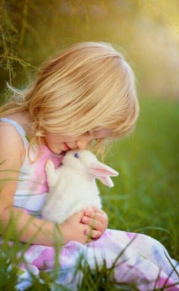 Художник Ольга Симонова картины