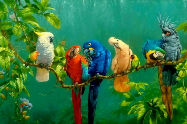 Фридрих фон Амерлинг спящая