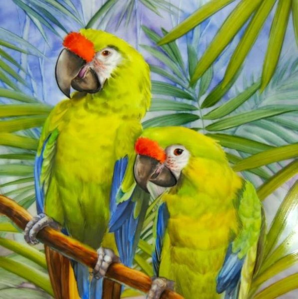 Художник Allan r. Banks