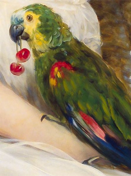 Живопись по номерам попугай