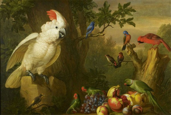 Попугаи на ветке живопись