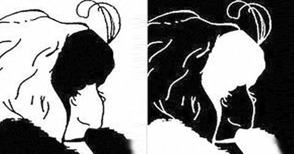 Моя жена и теща оптическая иллюзия