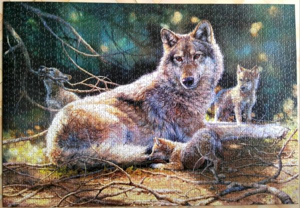 Художник .Бонни Маррис (Bonnie Marris)