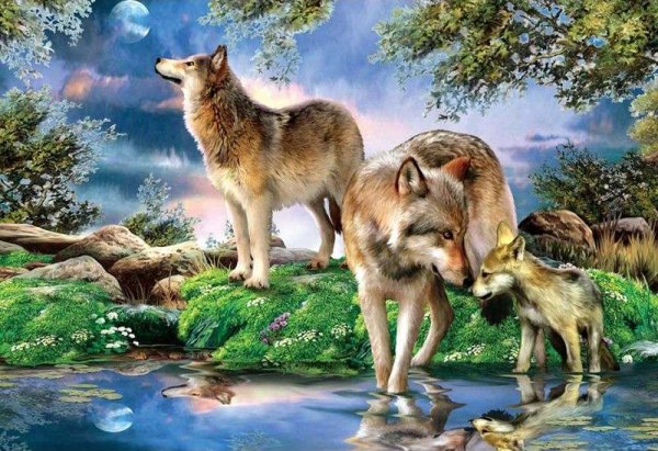 Семья Волков