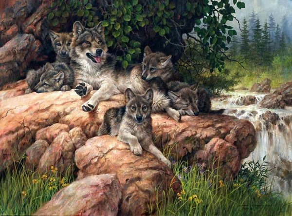 Персис Клейтон волки