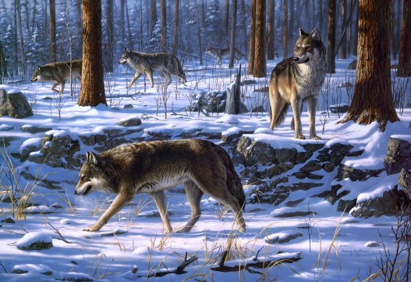 Волчица и осень