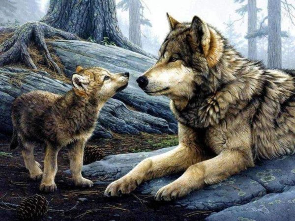 Вышивка волки в лесу