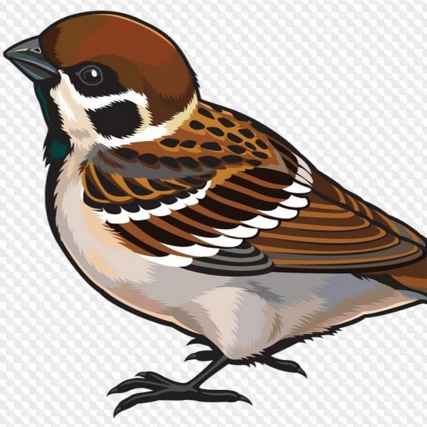 Воробей для детского сада