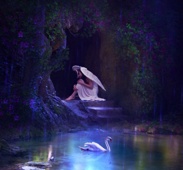 Лебедь ангел