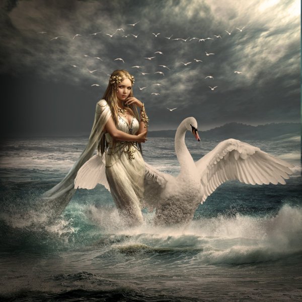 Девушка лебедь