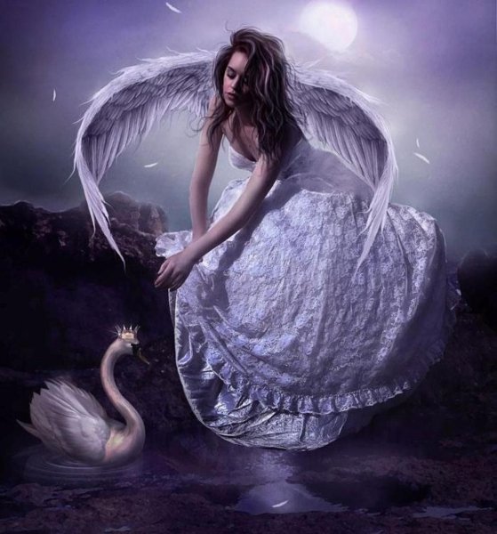 Светлана Валуева картины