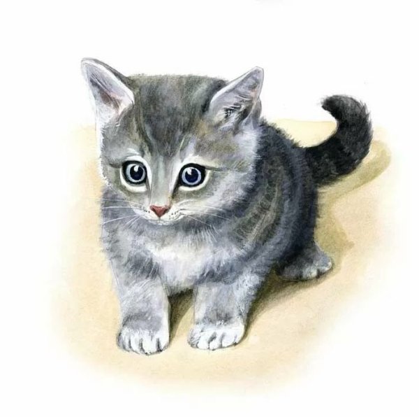 Котенок картинка для детей
