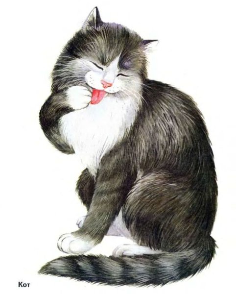 Кошка для детского сада