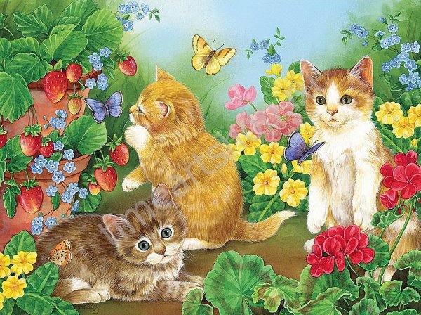 Котят Джейн Мэдей