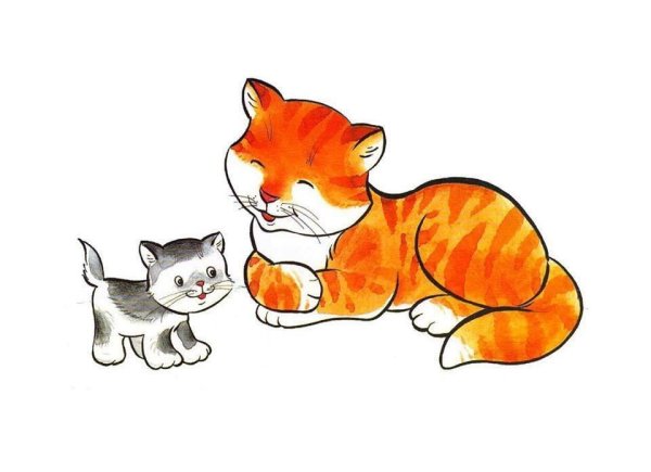 Домашние животные для детей кошка