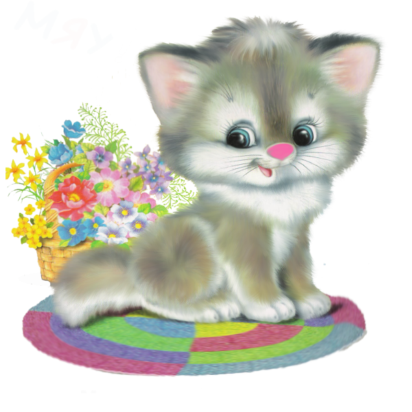 Детский сад для котят