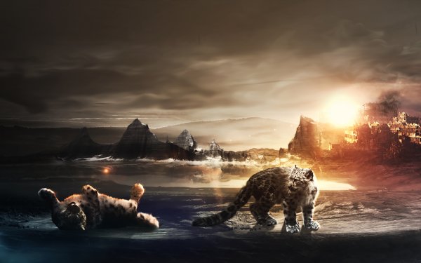 Фантастические фото