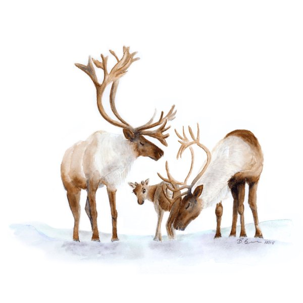 Северный олень арт