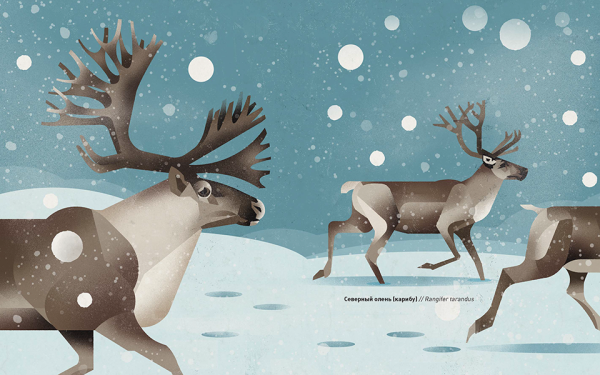 Животные севера