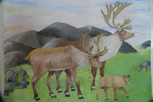 Северные олени картина Ушакова