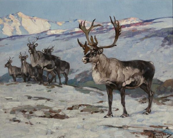 Северный олень плейстоцен