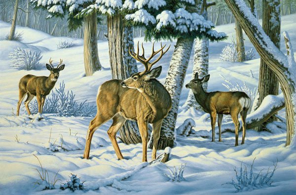 Художник - анималист Paul Krapf олени