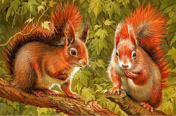 Мовчан художница Яна животные белки