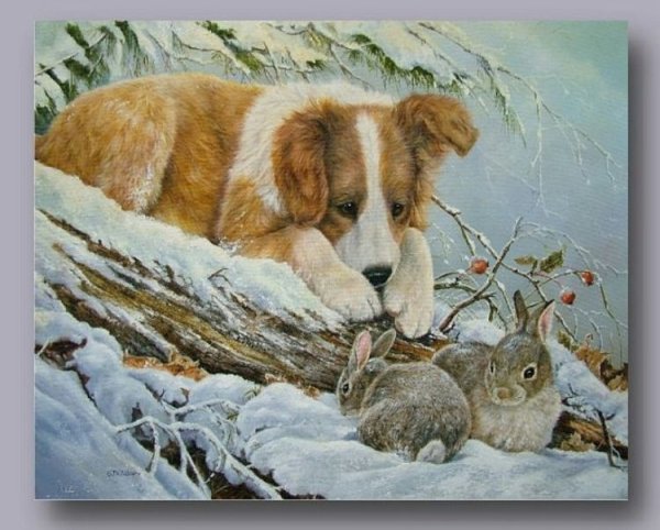 Художник Shirley Deaville