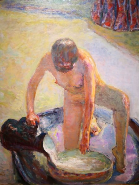 В лучах солнца" Пьер Боннар