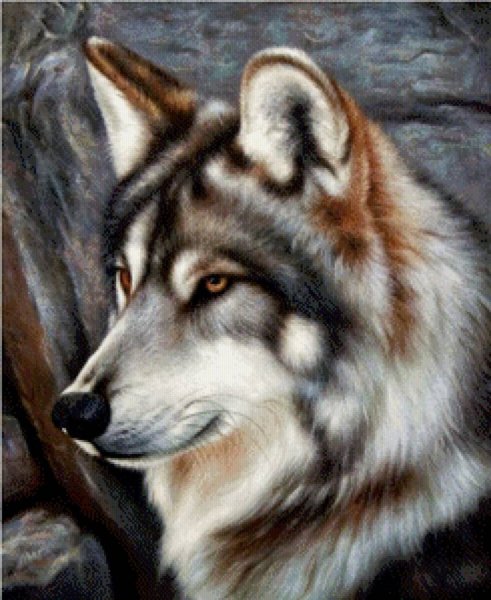 Красивые аватарки с волками