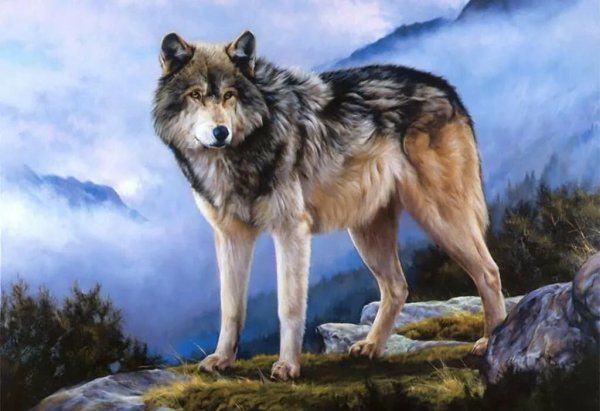 Картина волки