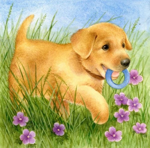 Собака рисунок