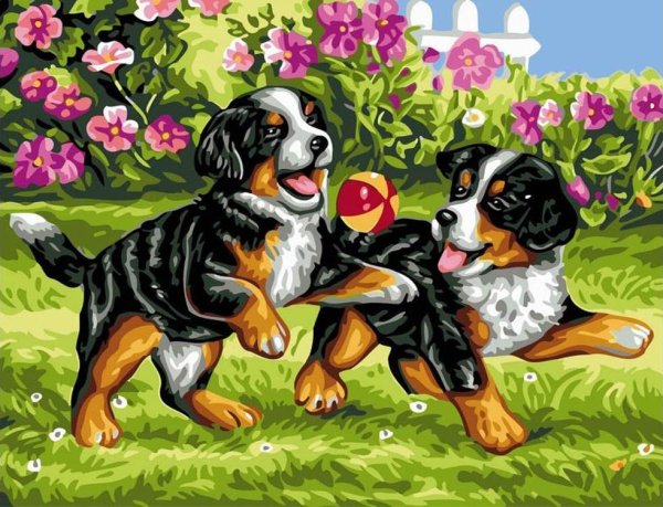 Рисование по номерам собака