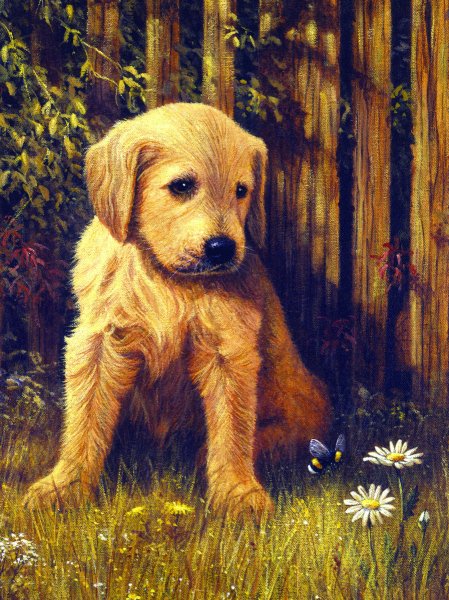 Картина собачки