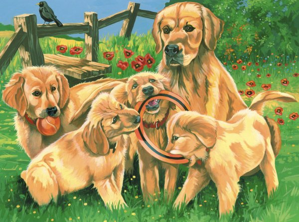 Щенки и собаки