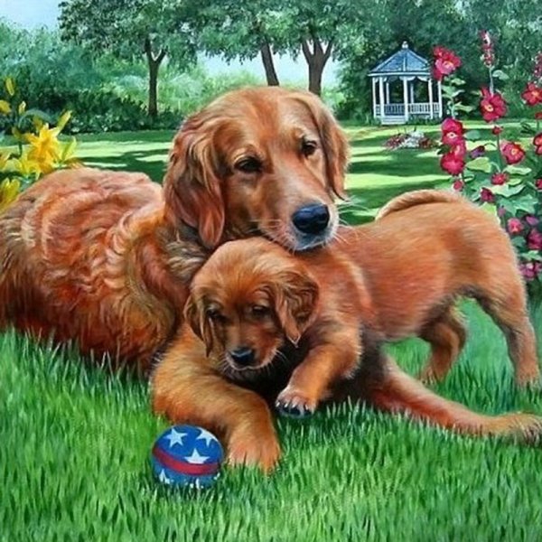 Щенки и собаки