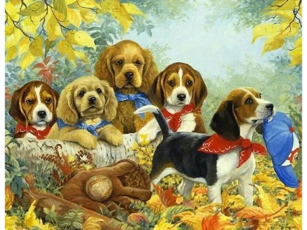 Красивые собаки