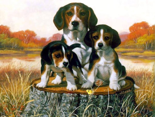 Художник Jim Lamb