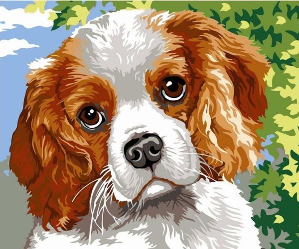 Картина по номерам Кинг Чарльз спаниель