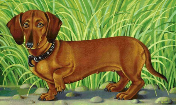 Рисование таксы