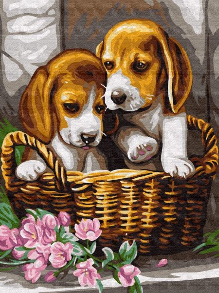Картина собачки