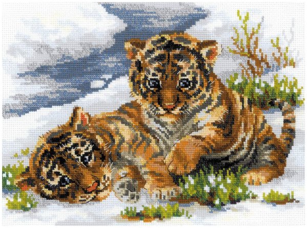 Риолис тигрята в снегу