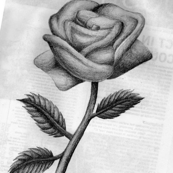 Рисунки карандашом прикольные