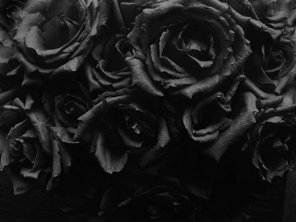 Чёрно-белые картинки