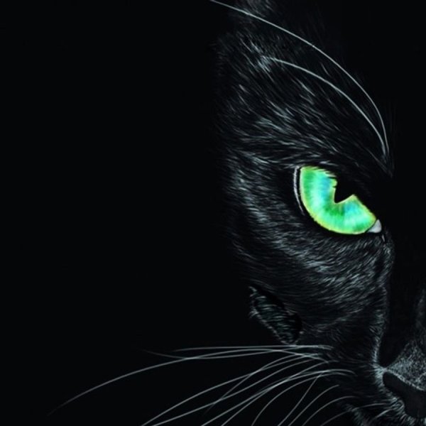 Чёрно-белая фотография