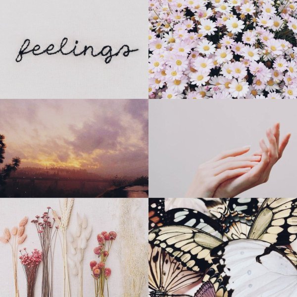 Эстетика повседневности