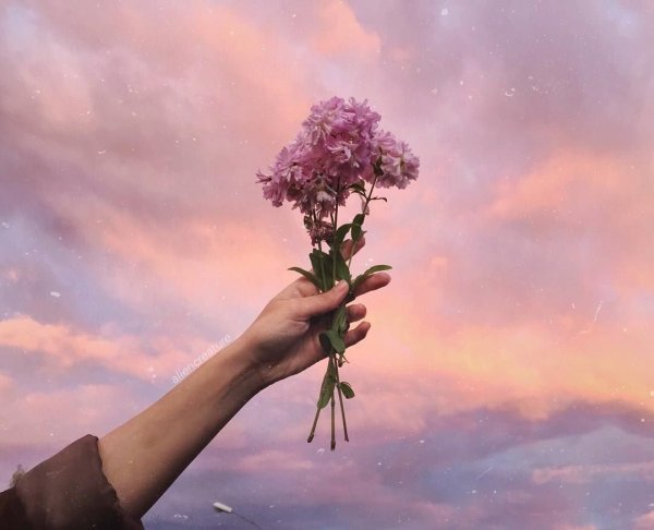 Эстетика с цветами